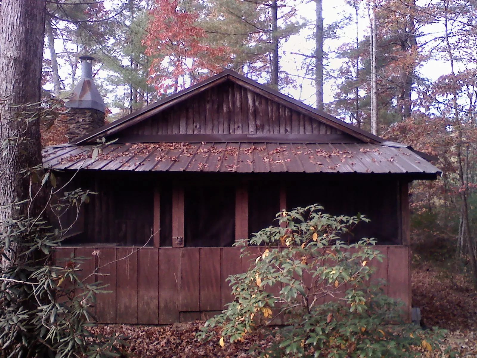 Metal roof over the screened porch of a rustic cabin in Bronx
